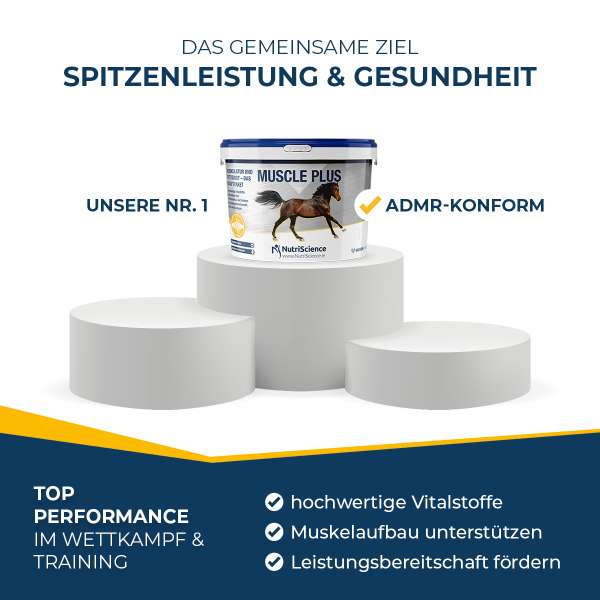 Unsere Nr. 1 | Muscle Plus - ADMR-konform