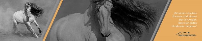 media/image/banner-lp-equine-gold.jpg